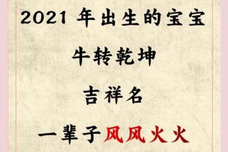 给晚上9点出生的属牛男孩取名字适合用什么字姓名