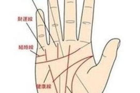 免费拍照看手相算命在线