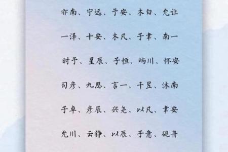 上午11点出生的属虎男孩起什么名，用什么字姓名