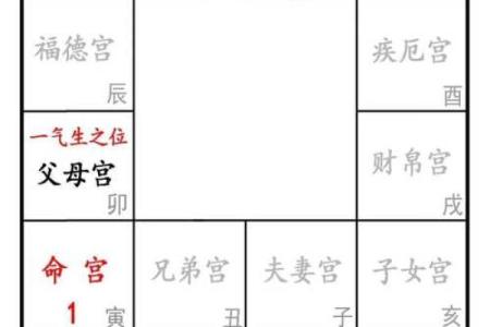 紫薇斗数亥宫