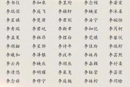 李姓男孩名字大全-李姓男孩起名字大全-李姓名字大全姓名