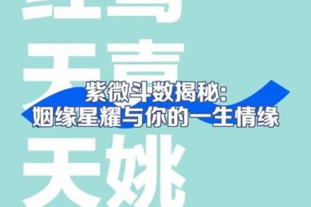紫薇查看姻缘