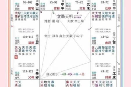 紫薇斗数紫薇化忌