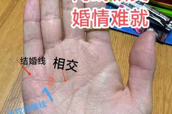 八字看婚姻线和命运线图解