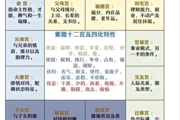 紫薇斗数子女成就