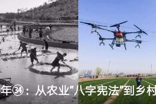 农业八字宪法