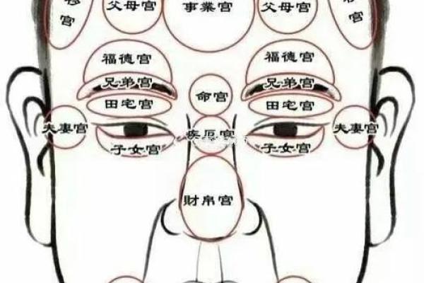 看鼻子面相算命大全