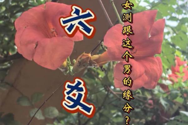 测试俩个人的缘分 测一下两个人的缘分？