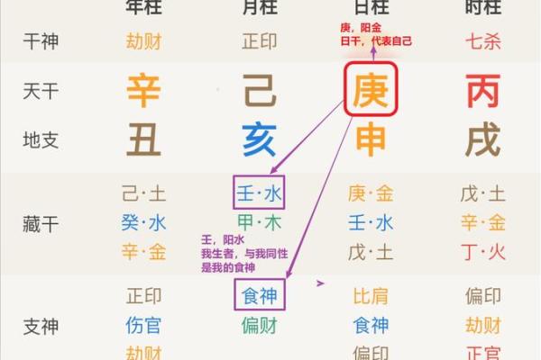 食神是什么意思在八字里