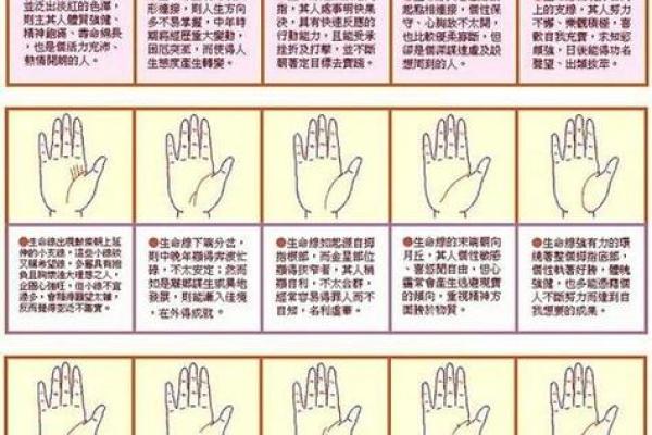手相算命图解，手相图解大全