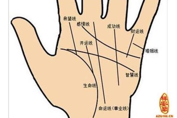手相算命图解，手相图解大全