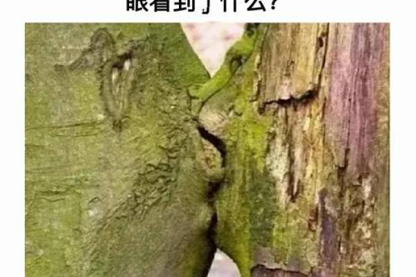 测试你心理强大吗,罕见心理测试图