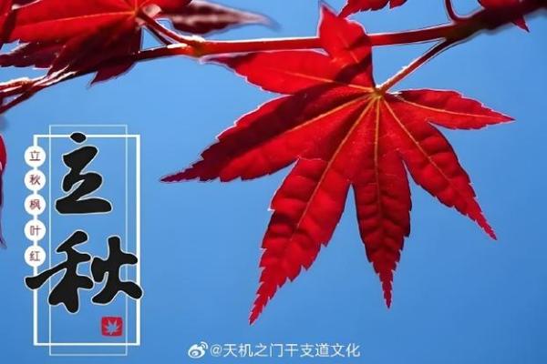 立秋八字
