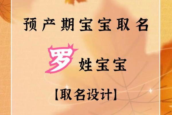罗姓男孩名字大全-罗姓男孩起名字大全-罗姓名字大全姓名