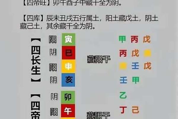 八字十二地支详解