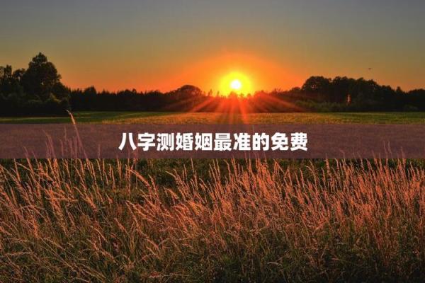 八字查姻缘免费测试 八字姻缘免费测算