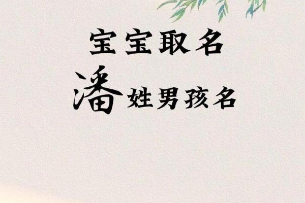 2019年出生的姓潘女孩如何起名，宜用什么字姓名