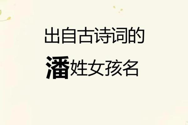 2019年出生的姓潘女孩如何起名，宜用什么字姓名