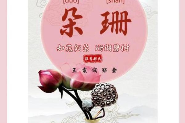 2月份出生的属兔女孩起什么名字好姓名