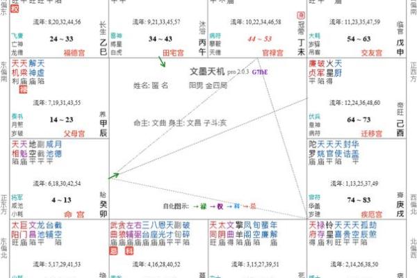 紫微斗数诸星落诸宫之:子女宫 紫微斗数诸星落诸宫之:子女宫