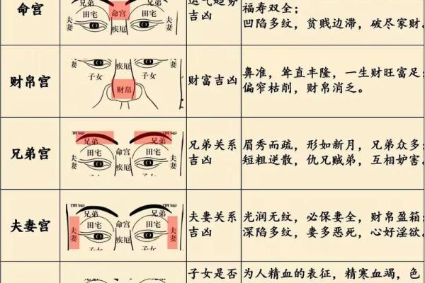 怎样从姓名看人的性格-姓名学-华易算命网姓名