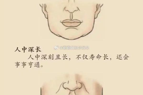 倒八字眉面相分析,倒八字眉面相好吗? 倒八字眉面相分析,倒八字眉面相好吗?