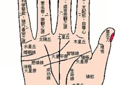 八字看婚姻线和命运线图解