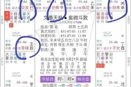 紫薇斗数初学入门