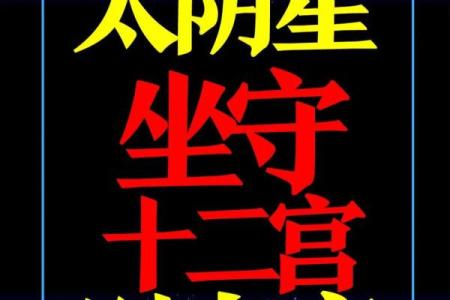 紫微斗数之财帛宫与诸星，贪狼星在财帛宫是什么意思？