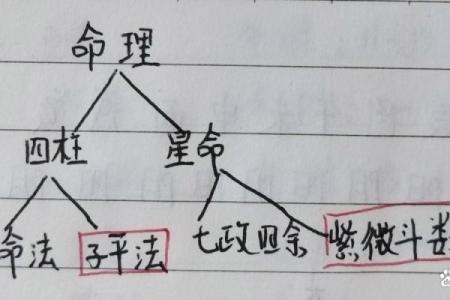 什么是八字软