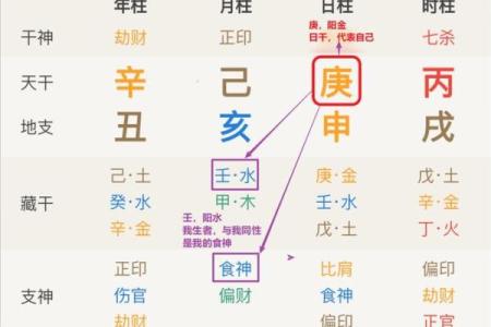 食神是什么意思在八字里