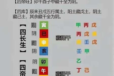 八字十二地支详解