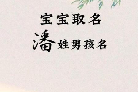 2019年出生的姓潘女孩如何起名，宜用什么字姓名