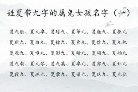 2月份出生的属兔女孩起什么名字好姓名