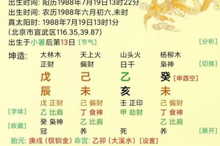 八字坤造