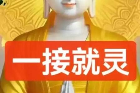 八字潘昭佑