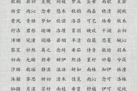 属鸡亥时出生的男孩该如何起名，宜用什么字姓名