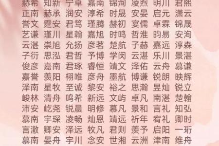 2019年6月15号寅时出生的男孩起名时要注意什么姓名