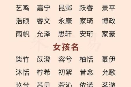 2019年3月25号子时出生的男孩如何起名姓名
