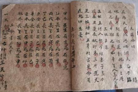 长寿密码八字诀