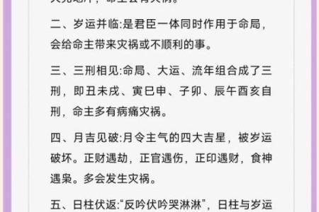 以八字做偏门生意为中心，打造最全面的八字预测平台