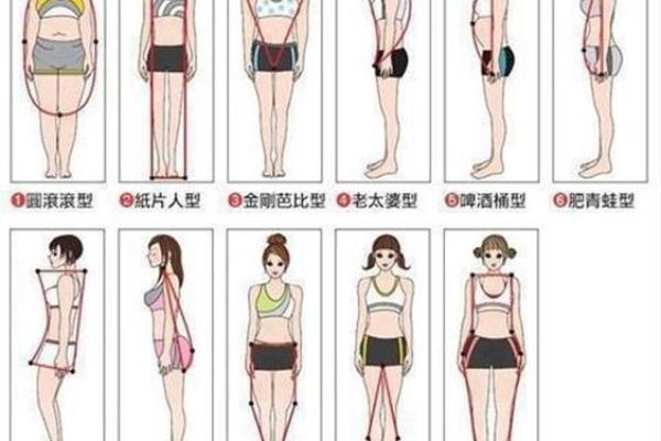 【揭秘】八字与体型关系的重要性