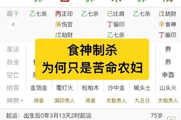 食神生财八字命详解