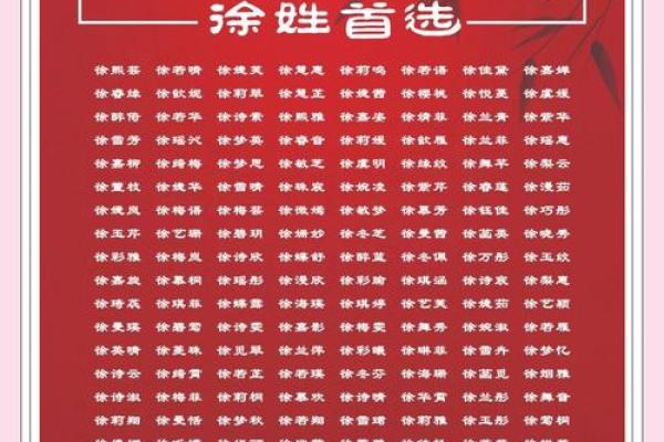 徐姓男孩名字大全-徐姓男孩起名字大全-徐姓名字大全姓名