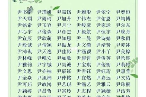 尹姓男孩名字大全-尹姓男孩起名字大全-尹姓名字大全姓名