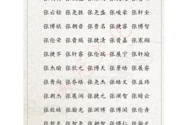 张姓男孩名字大全-张姓男孩起名字大全-张姓名字大全姓名
