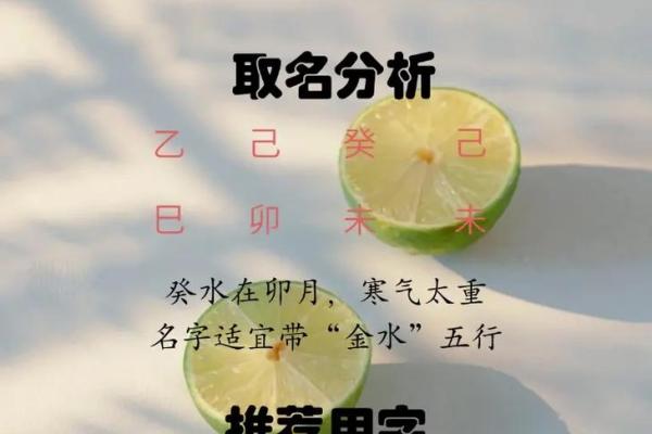 张姓男孩名字大全-张姓男孩起名字大全-张姓名字大全姓名
