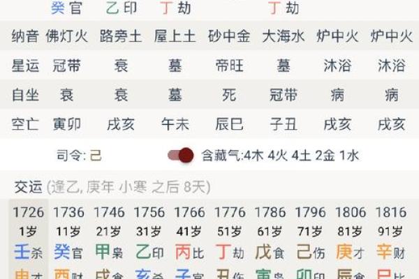 八字甲午辛未