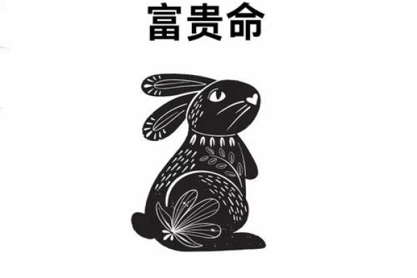 属兔八字