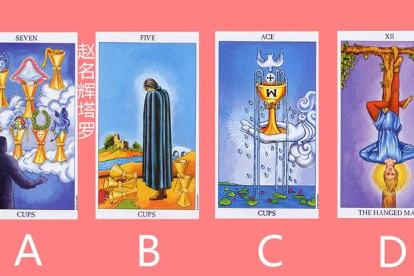 塔罗测试：这次面试会成功吗